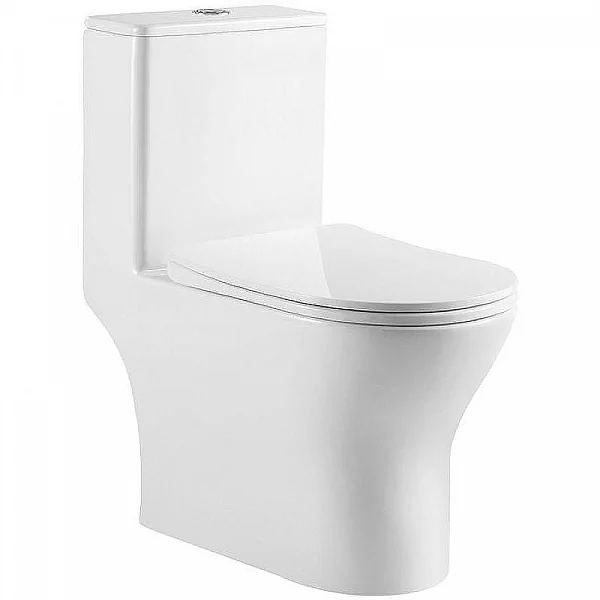 LOUNGE Унитаз-моноблок с сиденьем дюропласт soft close, P-trap BB8618CPR-MN/SC
