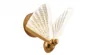 Бра Butterfly Wall Lamp A