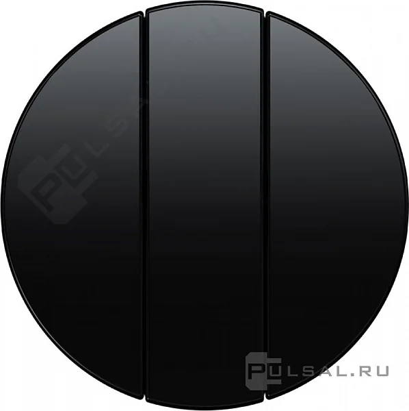 Berker Rockers for rocker switch, 3-gang, on/off black, glossy