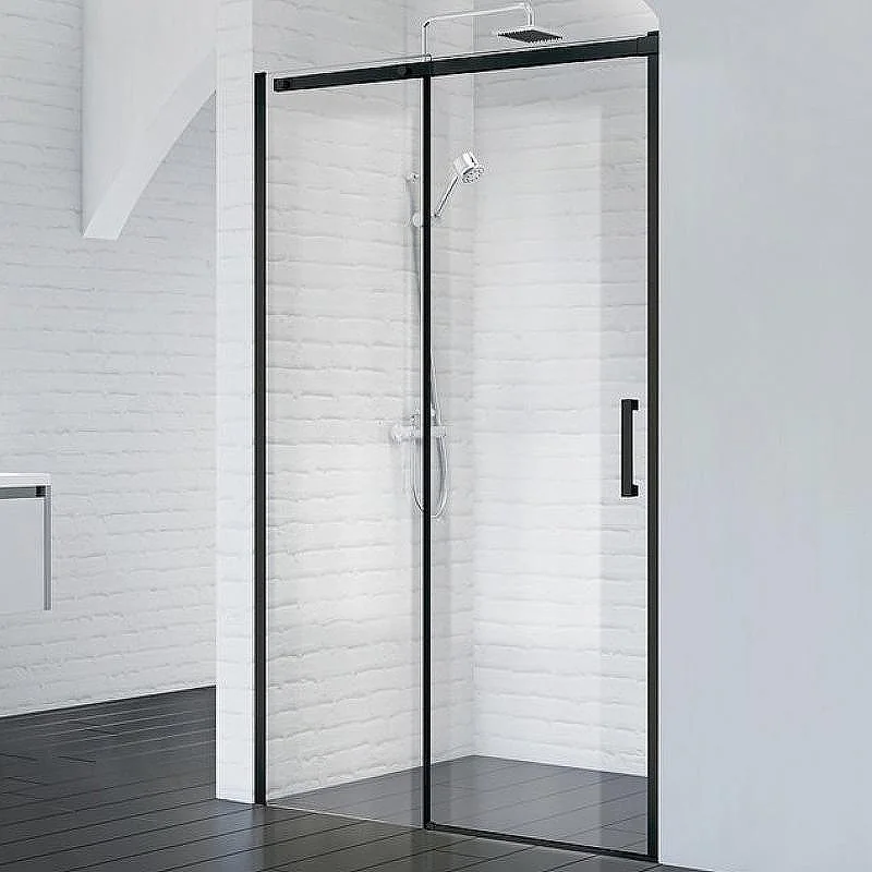 ACQUA-BF-1-120-C-NERO Душевая дверь BelBagno
