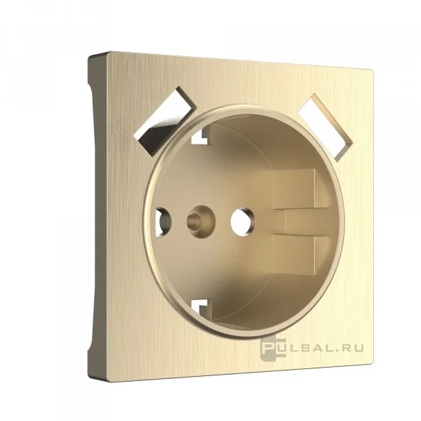 W1179510/ Накладка для розетки USB (шампань рифленый)