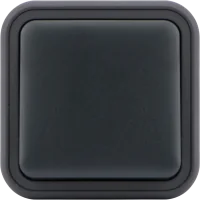 Donel W55 Выключатель звонкового типа 1-кл. накладной, антрацит, IP55, серия (тип) DIP55