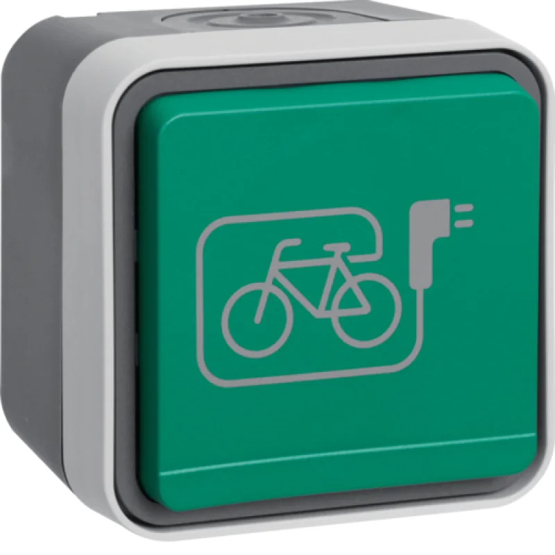 Штепсельная розетка SCHUKO, W.1, с зелёной откидной крышкой, символом «E-Bike», IP55, цвет: серы