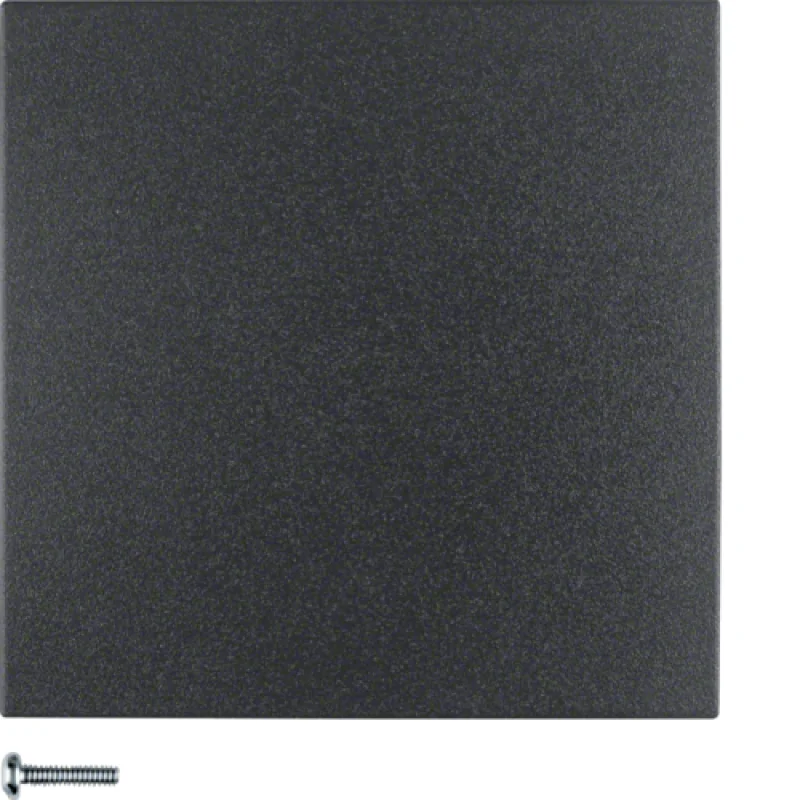 Button, 1-gang anthracite, matt