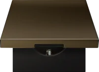 Donel R98 METAL латунь накладка для розетки Schuko с  с крышкой, 16A 250 В~, серия DA