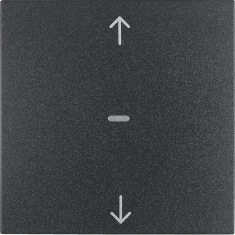 Jalousie-Taste Berker S.1/B.3/B.7 anthrazit, matt