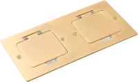Лючок Surface 4 мод. (2 мод. 45х45 мм.), золото, IP44