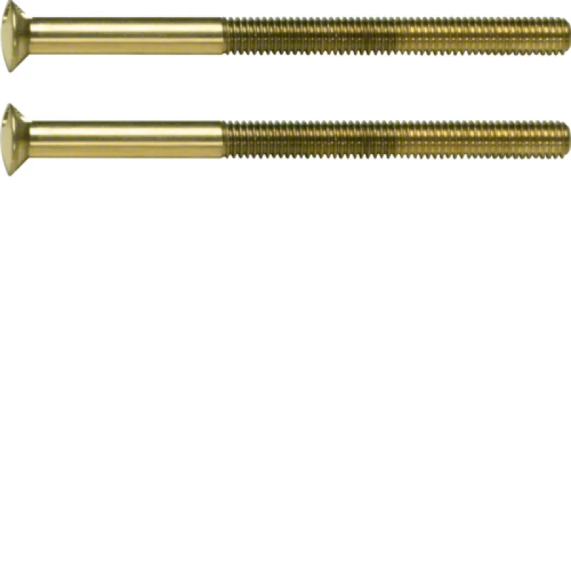 Специальный винт 2 x M3.5 x 50 mm цвет: золотой Berker TS