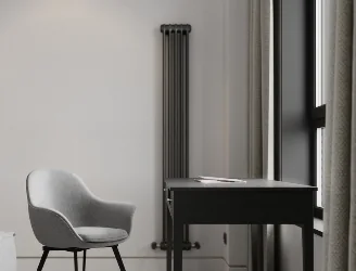 Радиатор Arbonia 2180/6 №12 Anthrazit-metallic