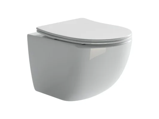 Подвесной унитаз Forma Rimless CN3009