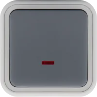 Donel W55 Переключатель 1-кл. накладной с подсветкой, серый, IP55, серия (тип) DIP55