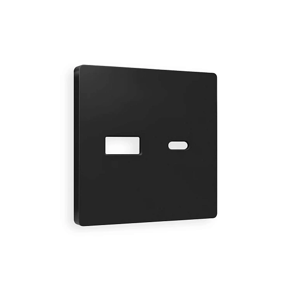 Лицевая панель ALFA (Черный матовый) для розетки 2USB тип A+C QUANT AP8110
