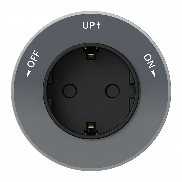 Systeme Electric MultiTrack Графит Розетка 2К+З круглая 16А/250В