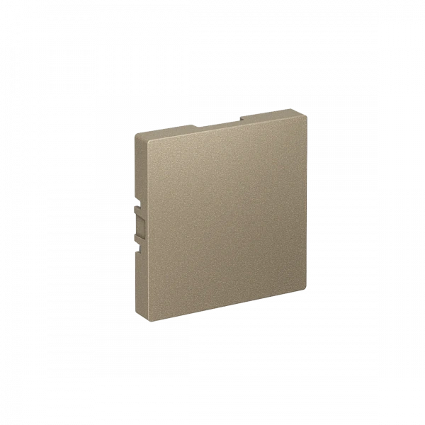 ATLASDESIGN ЗАГЛУШКА без суппорта для многопостовых рамок, ШАМПАНЬ