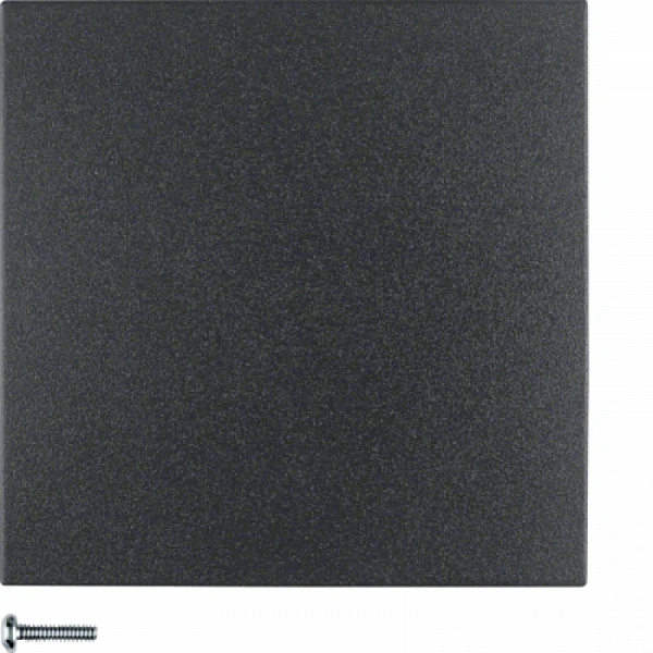 Button, 1-gang anthracite, matt