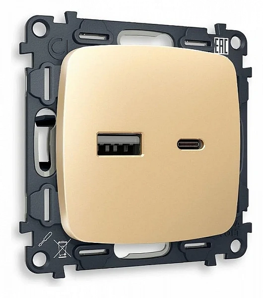 Комплект механизма розетки OMEGA MO611010 Шампань 2USB A+C W 3000mA (быстрая зарядка) 180-220V/50Hz