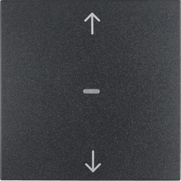 Jalousie-Taste Berker S.1/B.3/B.7 anthrazit, matt