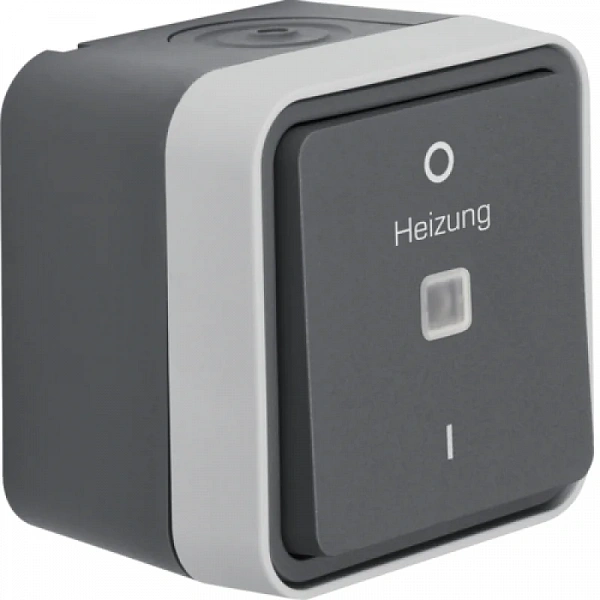 *По запросу* Аварийный контрольный выключатель отопления, W.1, с линзой и надписью, цвет: серый