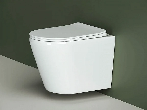 Унитаз подвесной Ceramicanova HIGHLIGHT Rimless, с креп, с сиденьем-крышкой с микролифтом CN1804