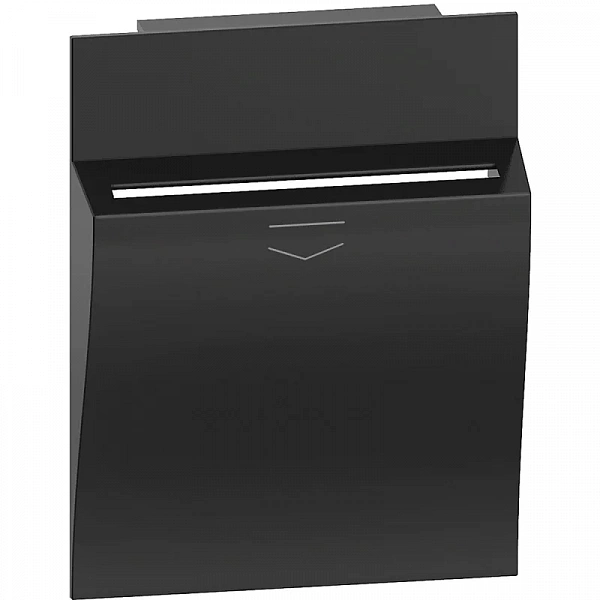 Bt LIVING NOW. Лицевая панель для карточного выключателя 2 модуля.Цвет Черный.