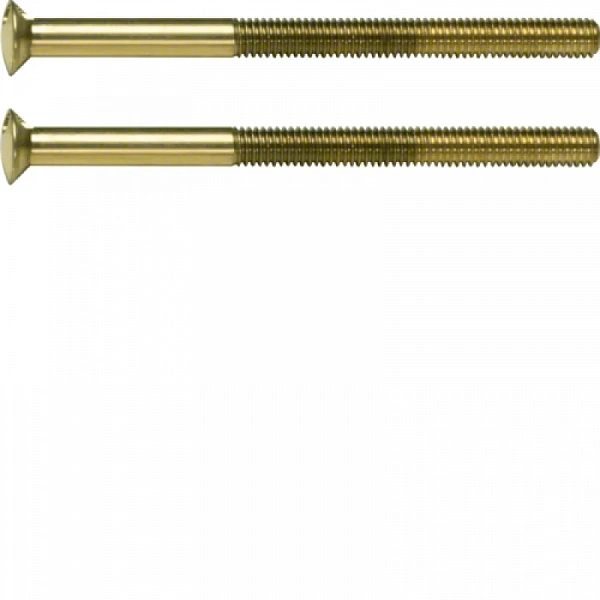 Специальный винт 2 x M3.5 x 50 mm цвет: золотой Berker TS