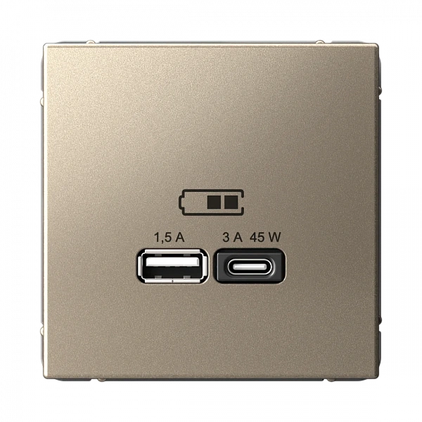 ARTGALLERY USB РОЗЕТКА A + тип-C 45Вт высокоскор.заряд. QC, PD, механизм, ШАМПАНЬ