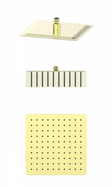 Верхний душ WONZON & WOGHAND, Брашированное золото (WW-88DP06-BG), шт