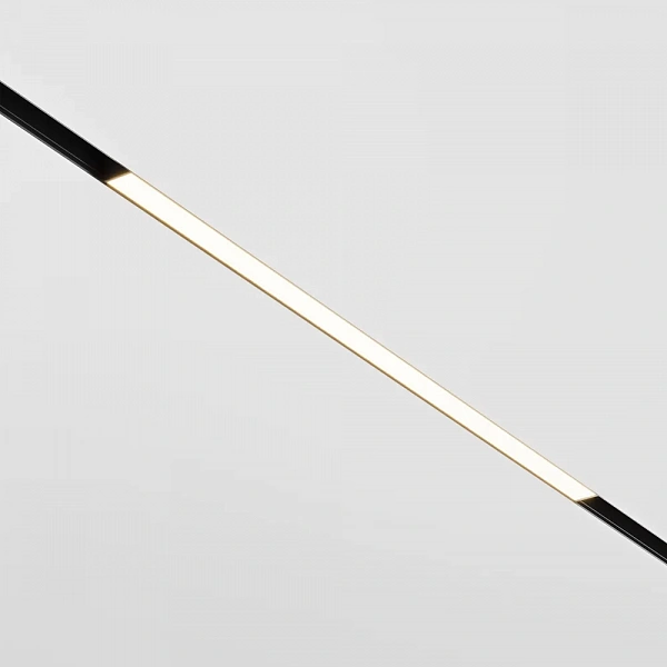Трековый светильник 48V Basis Exility 3000K 12Вт 120° LED (магнитный) Maytoni Technical TR030-2-12W3