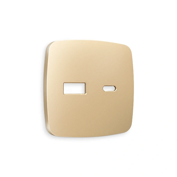 Лицевая панель OMEGA (Шампань) для розетки 2USB тип A+C QUANT OP6110