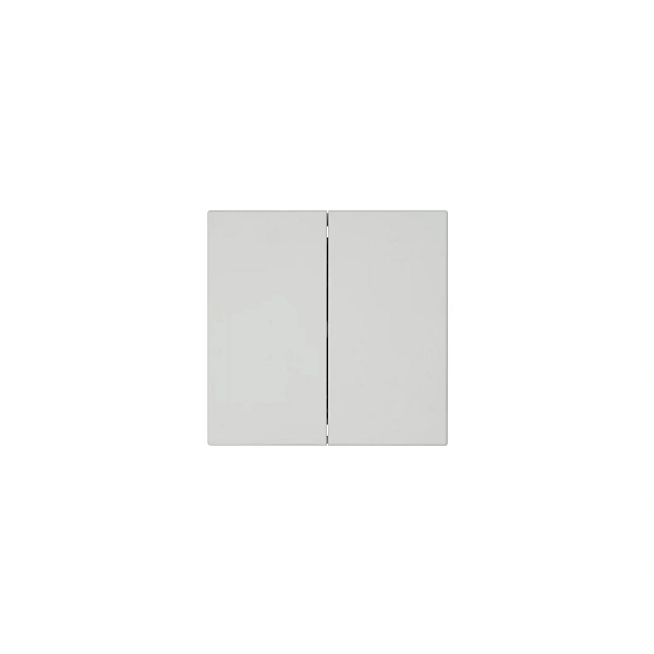 FD3023PTM_Выключатель двухклавишный 10A 250V~ с накладкой, цвет матовый Тауп (soft touch)