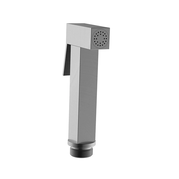 Гигиеническая лейка AltroBagno BS 060213 GM